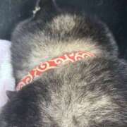 ヒメ日記 2025/03/19 18:19 投稿 めい マドンナ浜松町