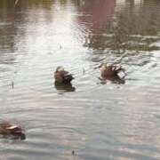 ヒメ日記 2025/04/28 14:37 投稿 めい マドンナ浜松町