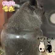 ヒメ日記 2025/05/01 10:29 投稿 めい マドンナ浜松町