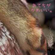 ヒメ日記 2025/05/21 17:54 投稿 めい マドンナ浜松町