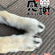 ヒメ日記 2025/05/24 11:14 投稿 めい マドンナ浜松町