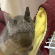 ヒメ日記 2025/07/20 13:41 投稿 めい マドンナ浜松町