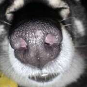 ヒメ日記 2025/08/18 18:07 投稿 めい マドンナ浜松町