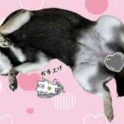 ヒメ日記 2025/09/15 16:41 投稿 めい マドンナ浜松町