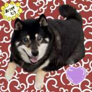 ヒメ日記 2025/09/25 21:03 投稿 めい マドンナ浜松町