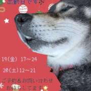 ヒメ日記 2025/12/13 12:54 投稿 めい マドンナ浜松町