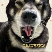 ヒメ日記 2026/01/12 16:10 投稿 めい マドンナ浜松町