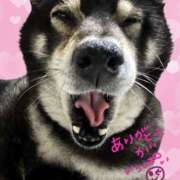 ヒメ日記 2026/01/20 23:25 投稿 めい マドンナ浜松町