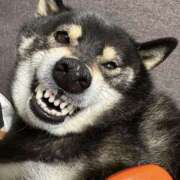 ヒメ日記 2026/02/16 17:18 投稿 めい マドンナ浜松町