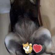 ヒメ日記 2026/04/14 16:09 投稿 めい マドンナ浜松町