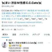 ヒメ日記 2023/10/28 19:58 投稿 まい C.C.CATS