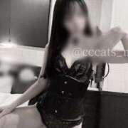 ヒメ日記 2024/12/14 21:24 投稿 まい C.C.CATS