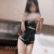 ヒメ日記 2024/12/17 19:05 投稿 まい C.C.CATS