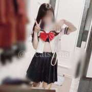 ヒメ日記 2024/12/18 18:05 投稿 まい C.C.CATS