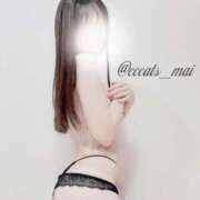 ヒメ日記 2024/12/20 10:45 投稿 まい C.C.CATS