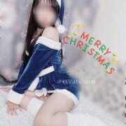 ヒメ日記 2024/12/24 11:46 投稿 まい C.C.CATS