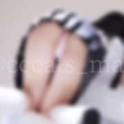 ヒメ日記 2024/12/26 20:25 投稿 まい C.C.CATS