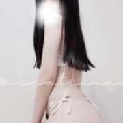 ヒメ日記 2024/12/26 20:45 投稿 まい C.C.CATS