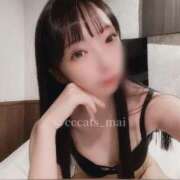 ヒメ日記 2025/01/06 19:05 投稿 まい C.C.CATS