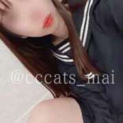 ヒメ日記 2025/01/07 22:06 投稿 まい C.C.CATS