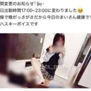 ヒメ日記 2025/01/11 14:25 投稿 まい C.C.CATS