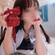 ヒメ日記 2025/01/31 19:04 投稿 まい C.C.CATS