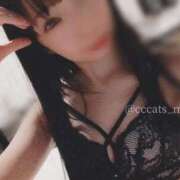 ヒメ日記 2025/01/31 21:45 投稿 まい C.C.CATS