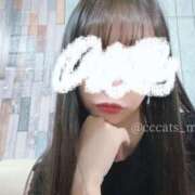 ヒメ日記 2025/04/27 19:07 投稿 まい C.C.CATS