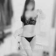 ヒメ日記 2025/04/28 12:26 投稿 まい C.C.CATS