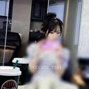 ヒメ日記 2025/07/21 15:22 投稿 まい C.C.CATS