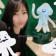 ヒメ日記 2025/08/01 19:21 投稿 まい C.C.CATS