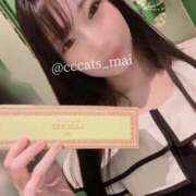 ヒメ日記 2025/08/20 17:02 投稿 まい C.C.CATS