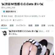 ヒメ日記 2025/08/27 17:22 投稿 まい C.C.CATS