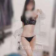 ヒメ日記 2025/10/04 03:41 投稿 まい C.C.CATS