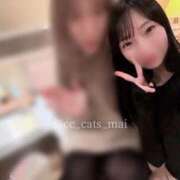 ヒメ日記 2025/11/16 03:01 投稿 まい C.C.CATS