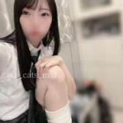 ヒメ日記 2025/11/23 12:22 投稿 まい C.C.CATS