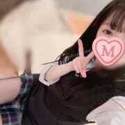 ヒメ日記 2025/11/30 15:22 投稿 まい C.C.CATS