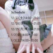 ヒメ日記 2025/12/23 12:22 投稿 まい C.C.CATS