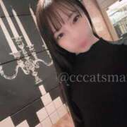 ヒメ日記 2026/01/09 20:03 投稿 まい CCキャッツ