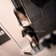 ヒメ日記 2026/01/29 21:02 投稿 まい CCキャッツ