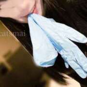 ヒメ日記 2026/02/13 16:22 投稿 まい CCキャッツ