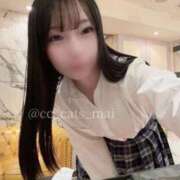 ヒメ日記 2026/02/15 12:22 投稿 まい CCキャッツ