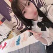 ヒメ日記 2026/03/04 09:22 投稿 まい CCキャッツ