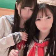 ヒメ日記 2026/03/08 11:22 投稿 まい CCキャッツ