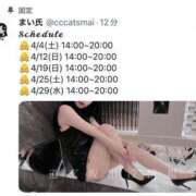 ヒメ日記 2026/04/03 12:22 投稿 まい CCキャッツ