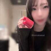 ヒメ日記 2026/04/12 10:41 投稿 まい CCキャッツ