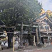 ヒメ日記 2025/10/16 14:24 投稿 りんか モアグループ大宮人妻花壇