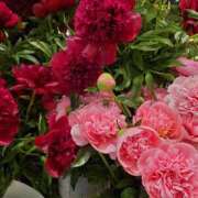 ヒメ日記 2025/06/05 12:18 投稿 りんか モアグループ春日部人妻城