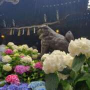 ヒメ日記 2025/06/10 14:33 投稿 りんか モアグループ春日部人妻城