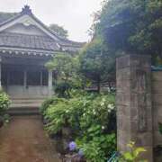 ヒメ日記 2025/06/12 13:18 投稿 りんか モアグループ春日部人妻城